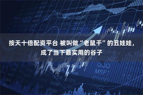 按天十倍配资平台 被叫做“老鼠干”的丑娃娃，成了当下最实用的谷子