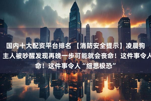 国内十大配资平台排名 【消防安全提示】凌晨狗狗狂吠不止，主人被吵醒发现再晚一步可能就会丧命！这件事令人“细思极恐”