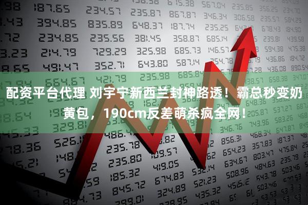 配资平台代理 刘宇宁新西兰封神路透！霸总秒变奶黄包，190cm反差萌杀疯全网！